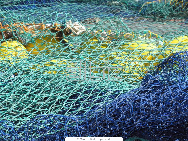 Для чего используется сетка в рыбной ловле? Как ловить на сетку?