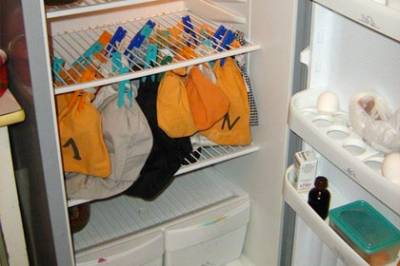 В холодильнике женщины зоолога зимуют десятки летучих мышей