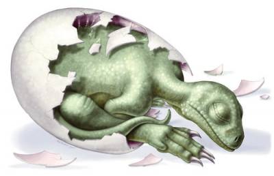 В Китае обнаружили эмбрионы динозавров