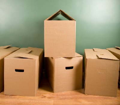 Виды и назначение картонных коробок