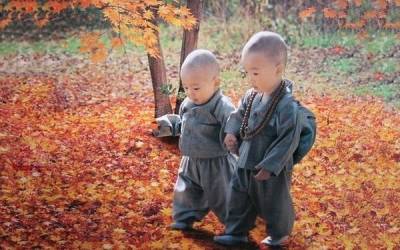 Основы тибетского воспитания