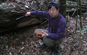 Гриб весом в пол тонны найден на острове Хайнань