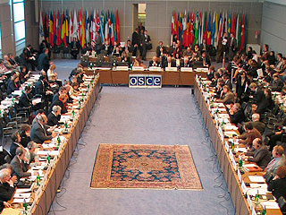 ОБСЕ приняла антироссийскую резолюцию